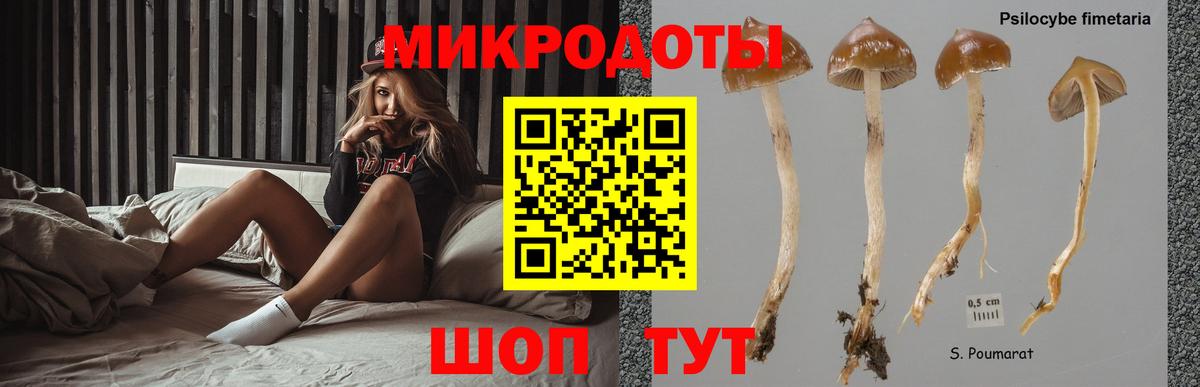 Абакан  Псилоцибиновые грибы Cubensis  цены наркотик  Псилоцибиновые грибы прущие грибы  Вход с VPN 